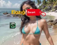 Elazığ Escort Telefon Numaraları - Elazığ güncel escort rehberi