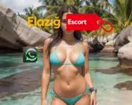 Elazığ Swinger Çift Escort - Elazığ vip Escort