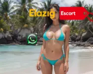 Elazığ Escort Öğrenci Ayşe