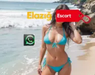 Elazığ Saatlik Escort Fiyatları