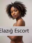Gerçek Elazığ escort bayan - Elazığ x profilli escort